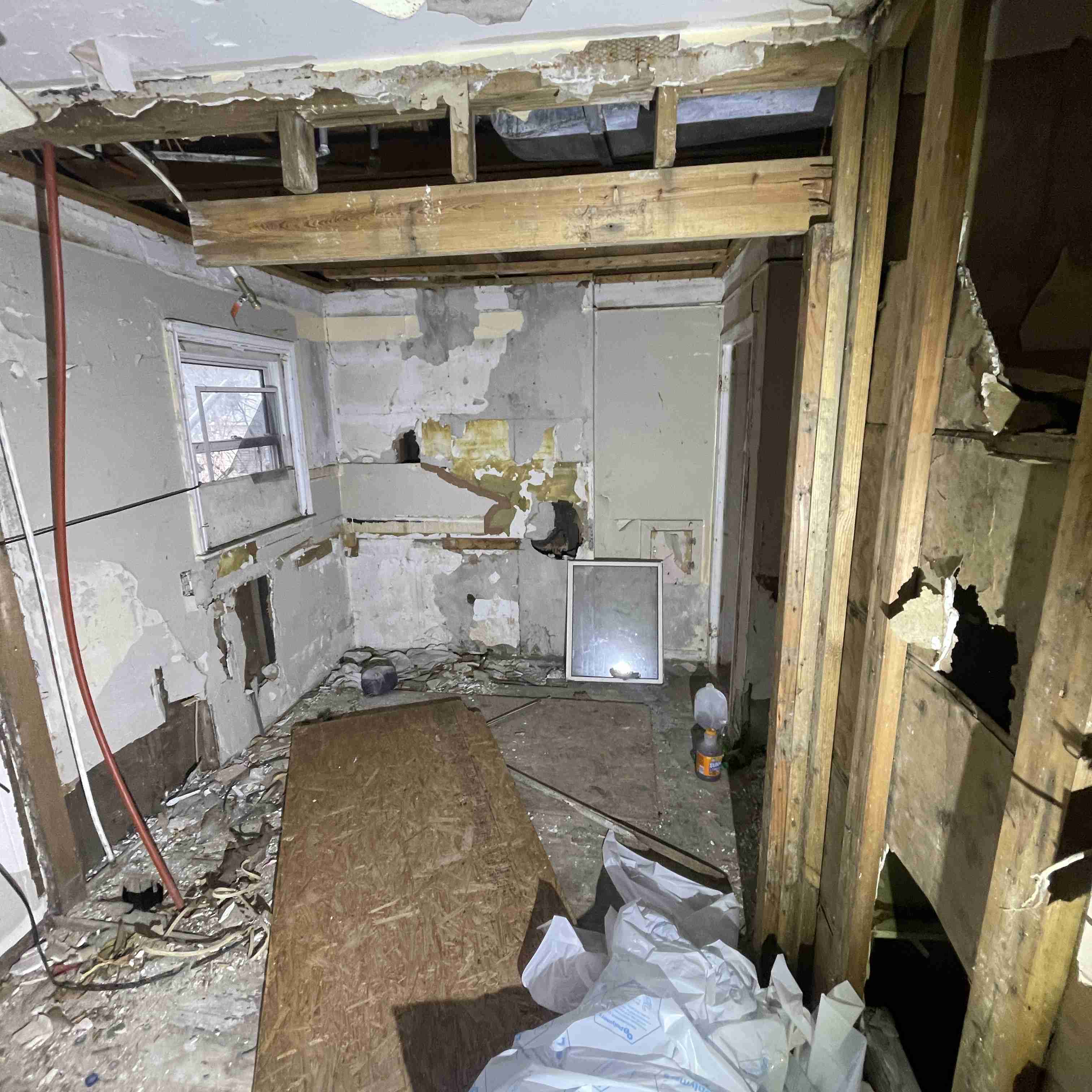 20017 Schoenherr (73).jpg